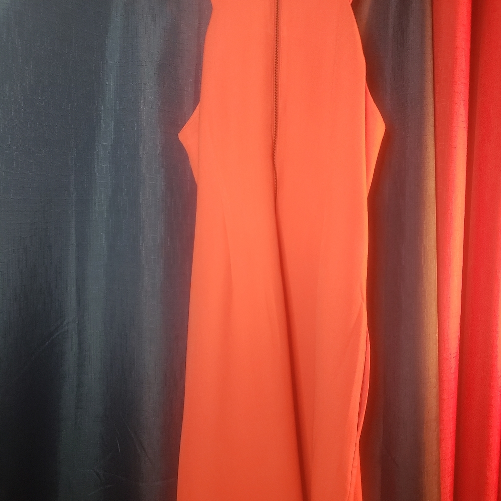 Dress - Picture 4 of 5